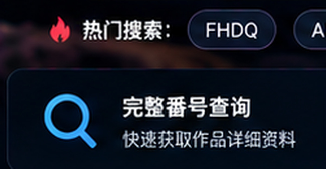 番号大全编号格式